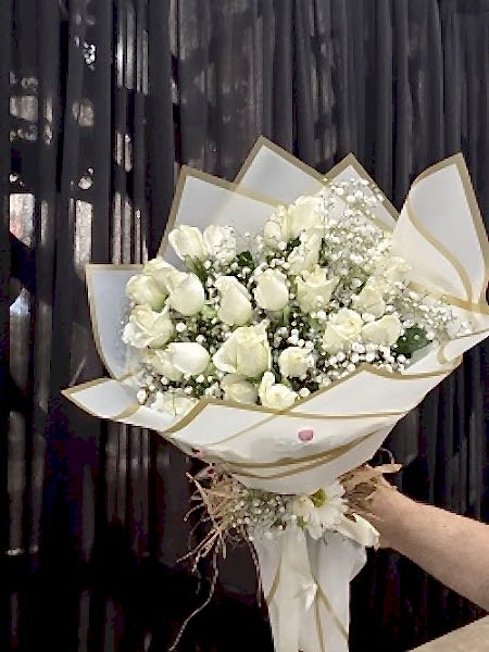 Beyaz Gül