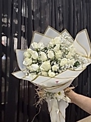 Beyaz Gül