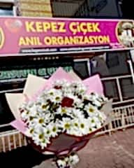 Papatyalı Tek Gül Buketi